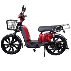 Električni Skuter APN-6 D